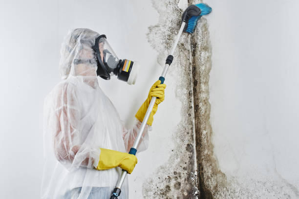 Best Comprehensive Air Testing for Mold Contaminants  in Garrison, MD